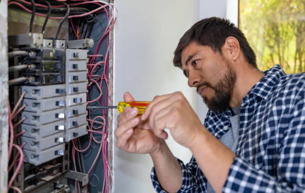 Best Electric Panel Repair  in Blue Earth, MN